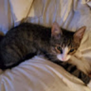 Meet your Posher, Corrina